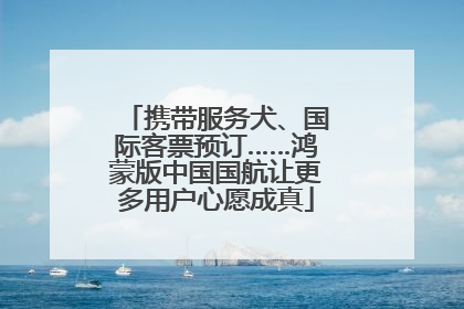 携带服务犬、国际客票预订……鸿蒙版中国国航让更多用户心愿成真