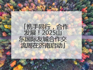 携手同行，合作发展！2025山东国际友城合作交流周在济南启动