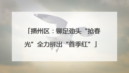 播州区：铆足劲头“抢春光”全力拼出“首季红”