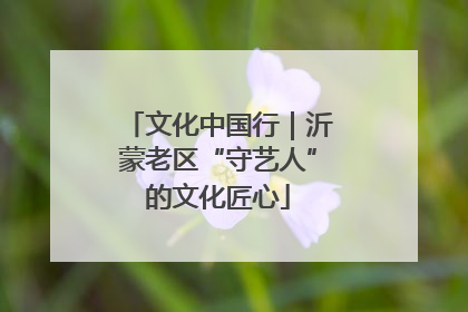 文化中国行｜沂蒙老区“守艺人”的文化匠心