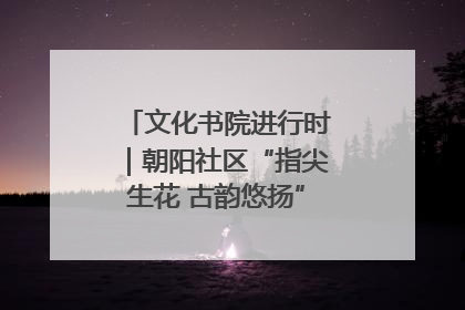 文化书院进行时｜朝阳社区“指尖生花 古韵悠扬”公益课堂开课了