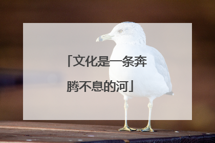 文化是一条奔腾不息的河