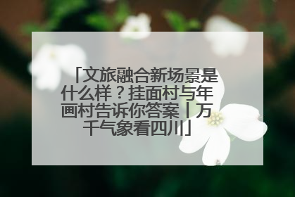 文旅融合新场景是什么样？挂面村与年画村告诉你答案丨万千气象看四川