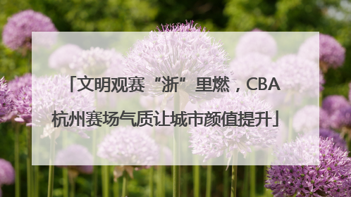 文明观赛“浙”里燃，CBA杭州赛场气质让城市颜值提升