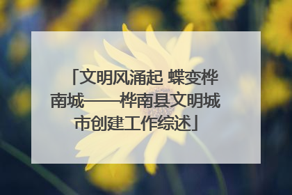 文明风涌起 蝶变桦南城——桦南县文明城市创建工作综述