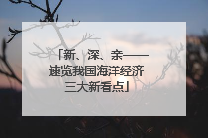 新、深、亲——速览我国海洋经济三大新看点