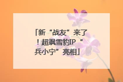 新“战友”来了！超飒雪豹IP“兵小宁”亮相