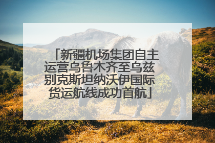 新疆机场集团自主运营乌鲁木齐至乌兹别克斯坦纳沃伊国际货运航线成功首航