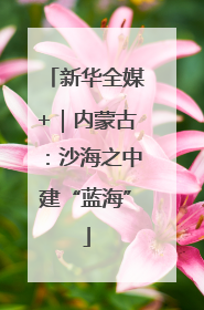 新华全媒+｜内蒙古：沙海之中建“蓝海”