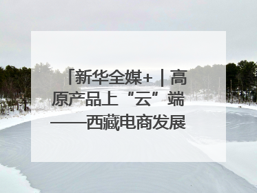 新华全媒+｜高原产品上“云”端——西藏电商发展一线观察