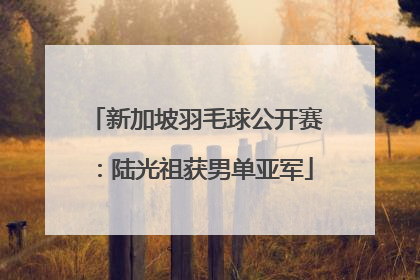 新加坡羽毛球公开赛：陆光祖获男单亚军