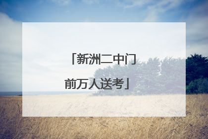 新洲二中门前万人送考