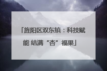 旌阳区双东镇：科技赋能 结满“杏”福果