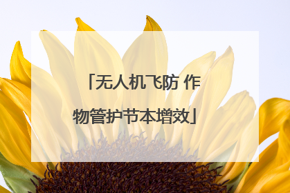 无人机飞防 作物管护节本增效