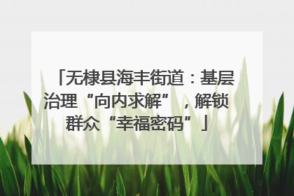 无棣县海丰街道：基层治理“向内求解”，解锁群众“幸福密码”
