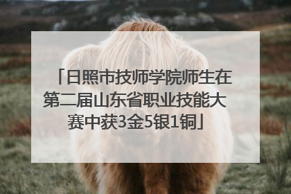 日照市技师学院师生在第二届山东省职业技能大赛中获3金5银1铜