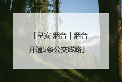 早安 烟台｜烟台开通5条公交线路