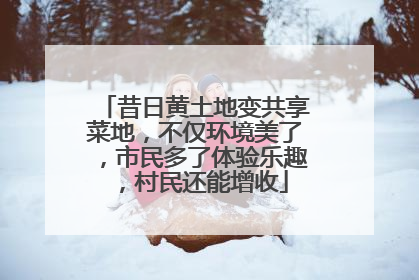 昔日黄土地变共享菜地，不仅环境美了，市民多了体验乐趣，村民还能增收