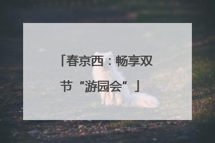 春京西：畅享双节“游园会”
