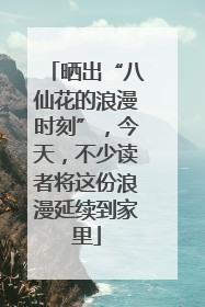 晒出“八仙花的浪漫时刻”，今天，不少读者将这份浪漫延续到家里