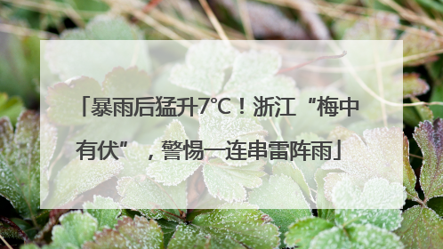 暴雨后猛升7℃！浙江“梅中有伏”，警惕一连串雷阵雨