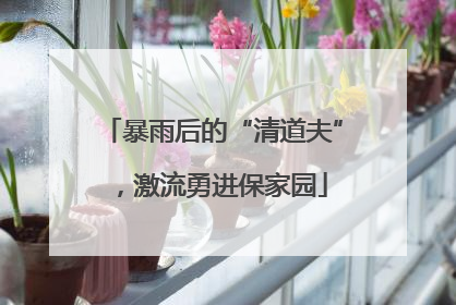 暴雨后的“清道夫”，激流勇进保家园