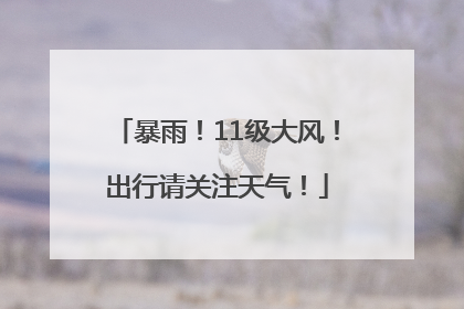 暴雨！11级大风！出行请关注天气！
