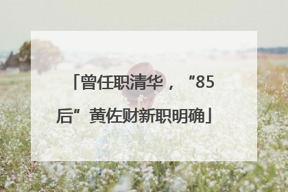 曾任职清华，“85后”黄佐财新职明确
