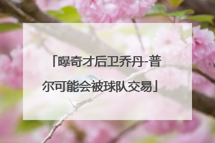 曝奇才后卫乔丹-普尔可能会被球队交易