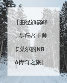 曲径通巅峰：步行者主帅卡莱尔的NBA传奇之旅