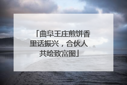 曲阜王庄煎饼香里话振兴，合伙人共绘致富图