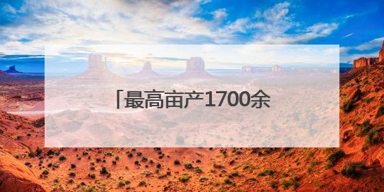 最高亩产1700余斤！东明县刘楼镇：高标准农田增效增收