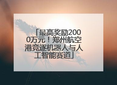 最高奖励2000万元！郑州航空港竞逐机器人与人工智能赛道