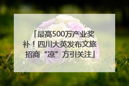 最高500万产业奖补！四川大英发布文旅招商“凉”方引关注