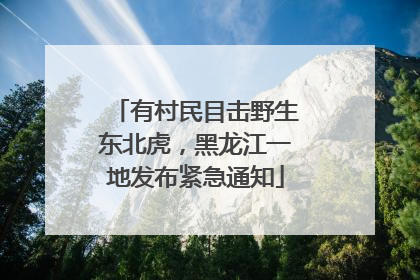 有村民目击野生东北虎，黑龙江一地发布紧急通知