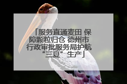 服务直通麦田 保障颗粒归仓 德州市行政审批服务局护航“三夏”生产