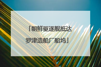 朝鲜驱逐舰抵达罗津造船厂船坞