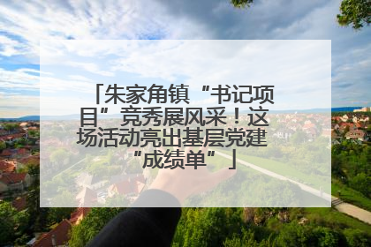 朱家角镇“书记项目”竞秀展风采！这场活动亮出基层党建“成绩单”