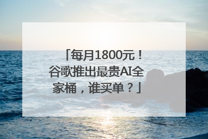 每月1800元！谷歌推出最贵AI全家桶，谁买单？