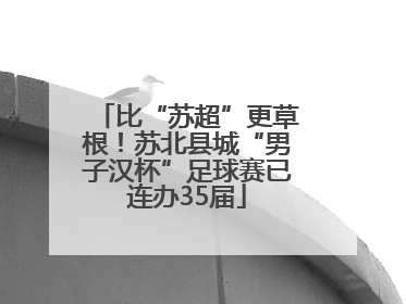 比“苏超”更草根！苏北县城“男子汉杯”足球赛已连办35届