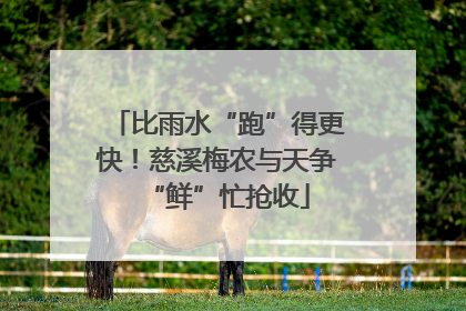 比雨水“跑”得更快！慈溪梅农与天争“鲜”忙抢收