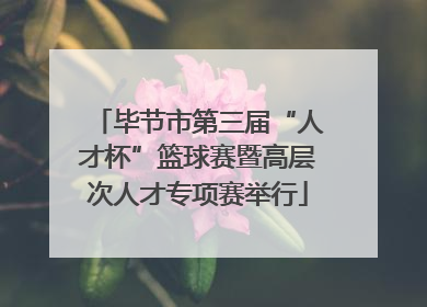 毕节市第三届“人才杯”篮球赛暨高层次人才专项赛举行