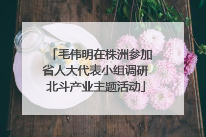 毛伟明在株洲参加省人大代表小组调研北斗产业主题活动