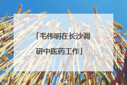 毛伟明在长沙调研中医药工作