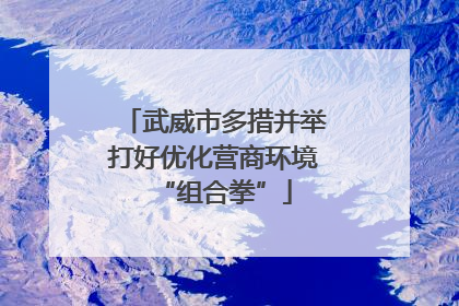 武威市多措并举打好优化营商环境“组合拳”