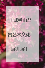 武当山盆景艺术文化展开展