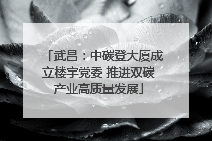 武昌：中碳登大厦成立楼宇党委 推进双碳产业高质量发展