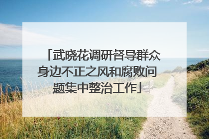 武晓花调研督导群众身边不正之风和腐败问题集中整治工作