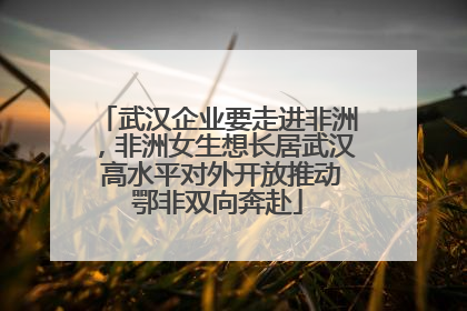 武汉企业要走进非洲，非洲女生想长居武汉 高水平对外开放推动鄂非双向奔赴