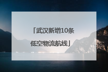 武汉新增10条低空物流航线